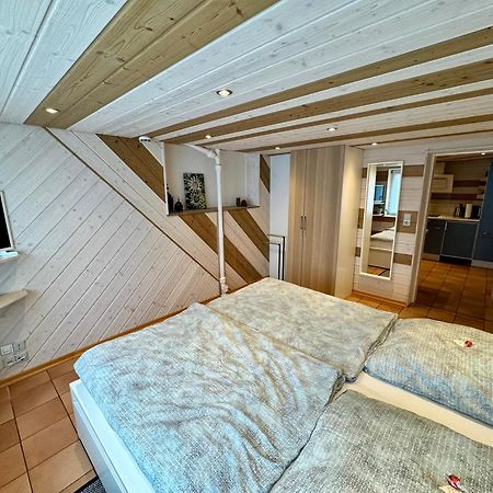 Schwabennestle - Ferienwohnung Albstadt-Onstmettingen Luaran gambar